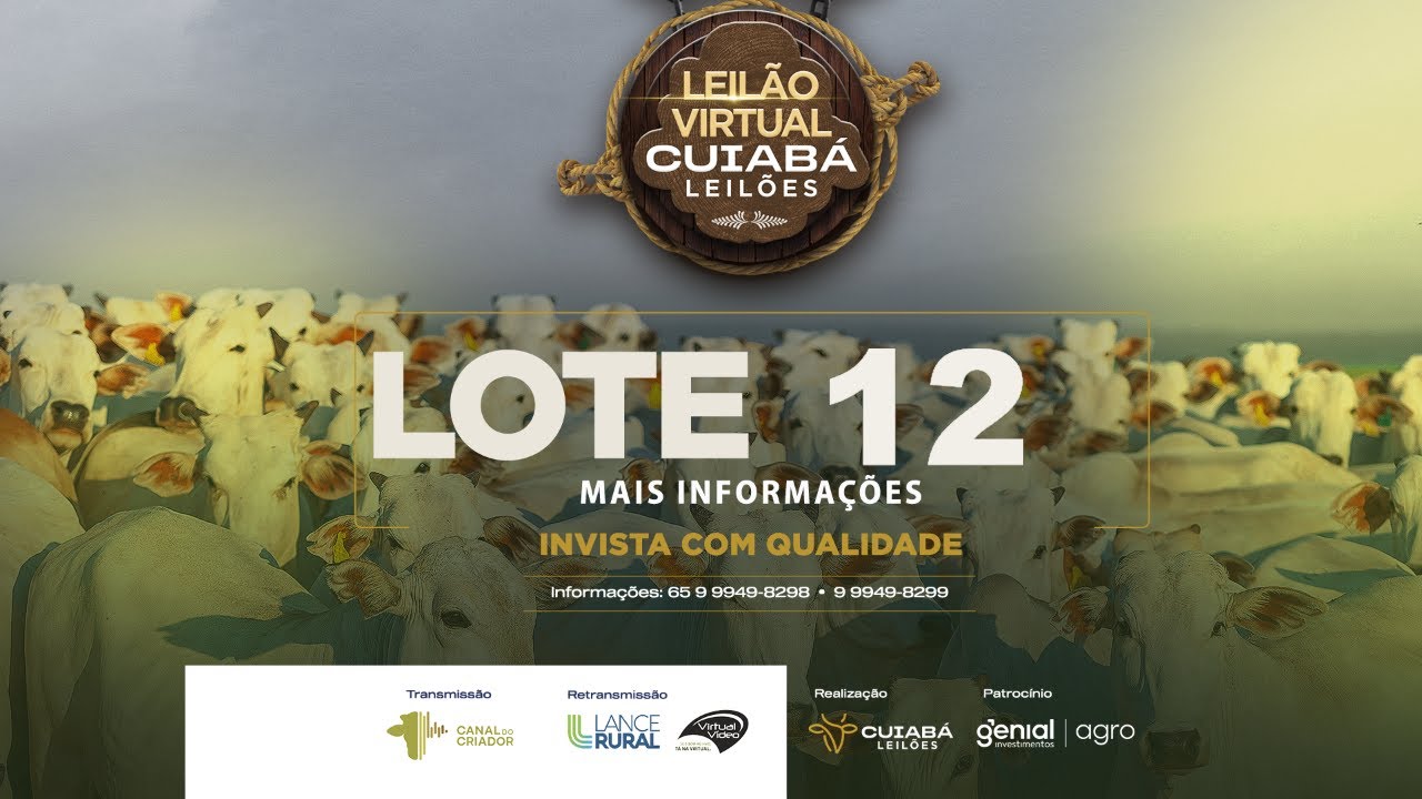LOTE 10 